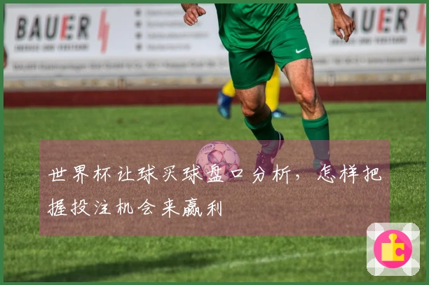 世界杯让球买球盘口分析，怎样把握投注机会来赢利