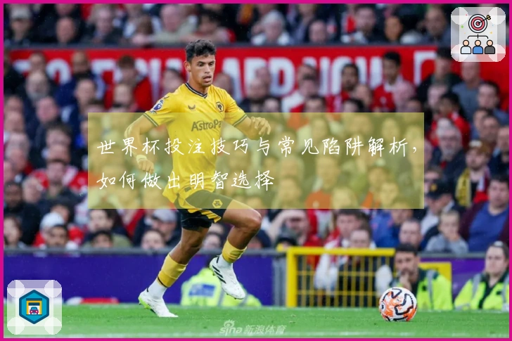 世界杯投注技巧与常见陷阱解析，如何做出明智选择