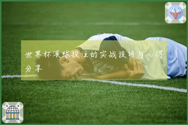 世界杯滚球投注的实战技巧与心得分享