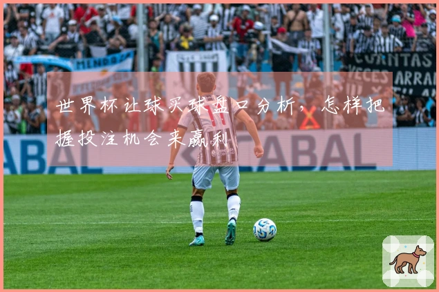 世界杯让球买球盘口分析，怎样把握投注机会来赢利