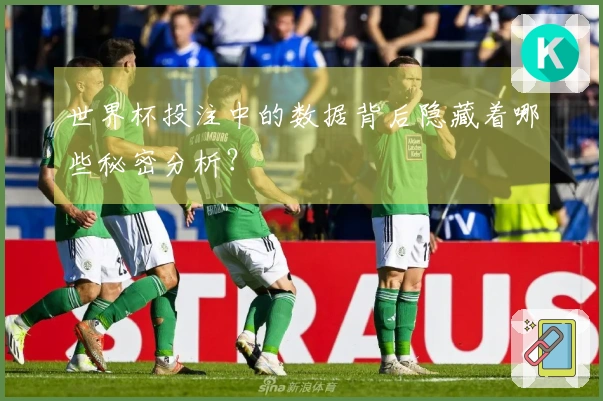 世界杯投注中的数据背后隐藏着哪些秘密分析？