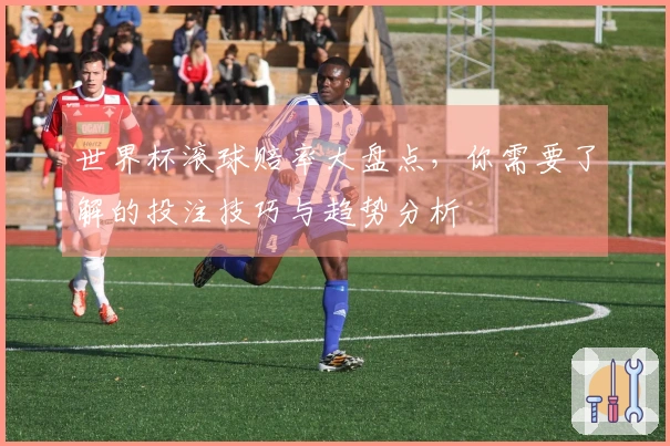 世界杯滚球赔率大盘点，你需要了解的投注技巧与趋势分析